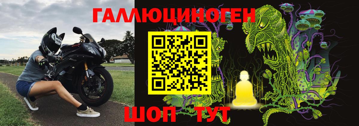Медногорск  Псилоцибиновые грибы прущие грибы  Вход с VPN 