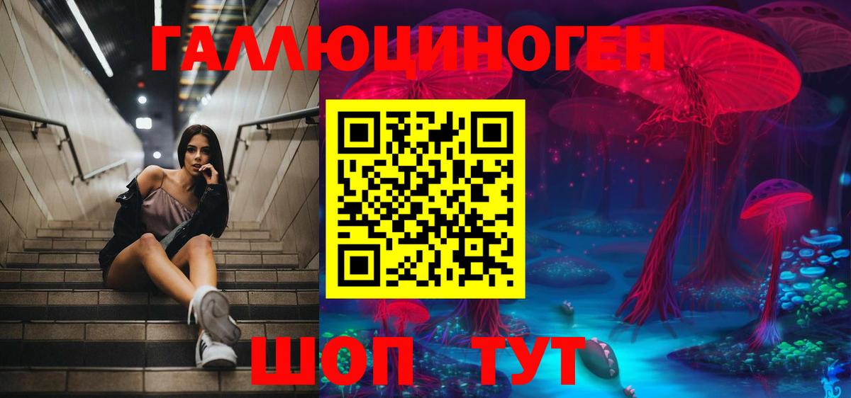 Псилоцибиновые грибы Psilocybe Медногорск