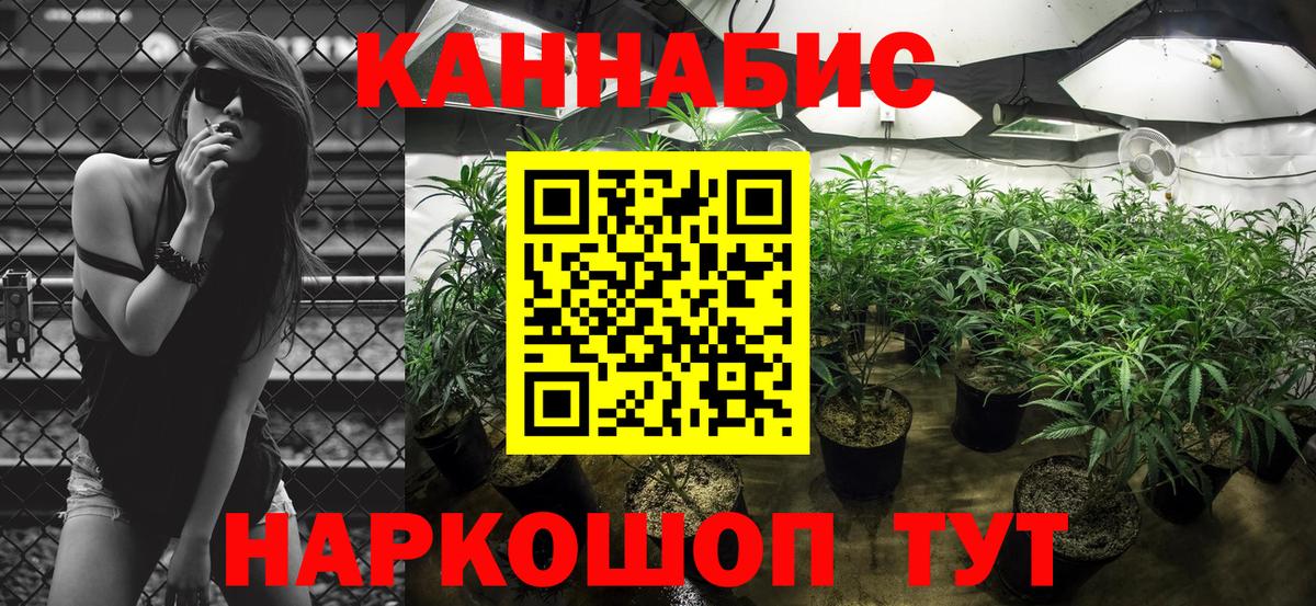 Марихуана сатива  Каннабис сатива  Вход с VPN  Медногорск 